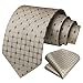 HISDERN Ties for Men Beige Checkered Tie with Pocket Square Polka Dots Business Formal Necktie Handkerchief Set Wedding Party