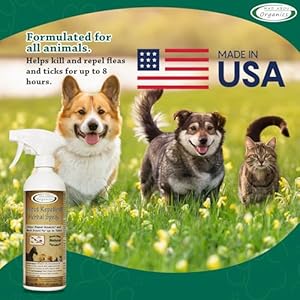 Herbal-Protection-Spray-for-Dogs-Cats-and-Small-Animals-16oz-Natural-Mosquito-Defense-Pet-Safety-Spray-Scent-up-to-12hrs-All-Natural-Mosquito-Repellent-Pet-Safe-Formula-by-Mad-About-Organics - Cucciolini Doodles   Herbal-Protection-Spray-for-Dogs-Cats-and-Small-Animals-16oz-Natural-Mosquito-Defense-Pet-Safety-Spray-Scent-up-to-12hrs-All-Natural-Mosquito-Repellent-Pet-Safe-Formula-by-Mad-About-Organics