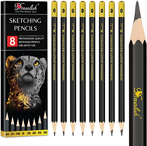 Sketching Pencils Set of 8 - B, 2B, 4B, 6B, 8B, HB, 2H, 4H - Drawing Pencils with Graphite Lead & Premium Wood are Ideal for Sketching, Shading & Doodling - For Beginners & Professionals