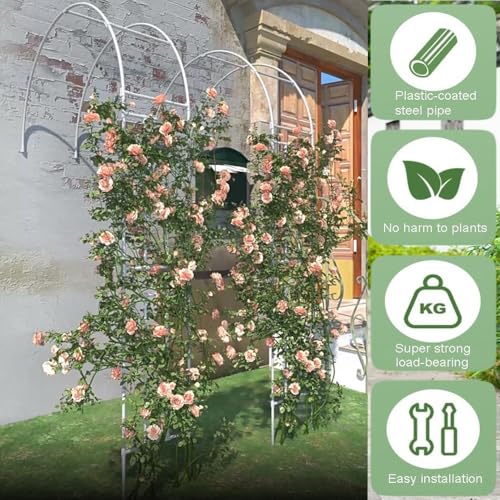 Arco de jardín de pared para aprovechar zonas estrechas y cultivar rosales trepadores 5