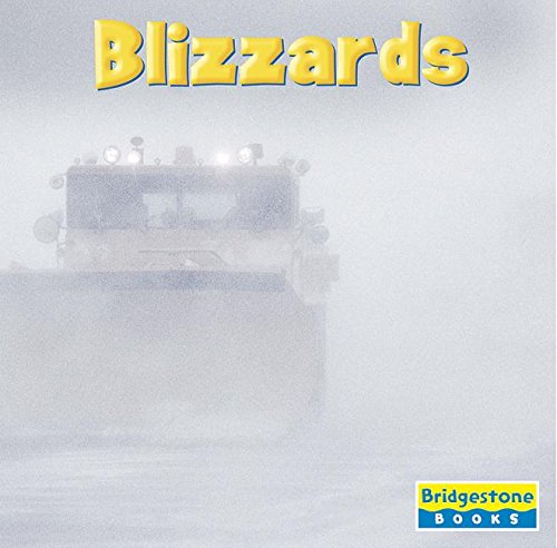 Preisvergleich Produktbild Blizzards (Weather Update)