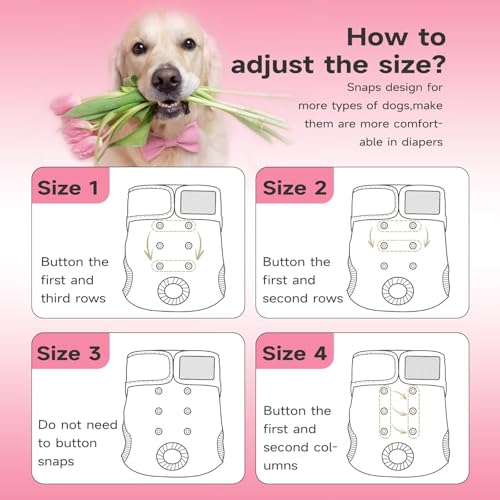 Image of Paw Legend Washable Reusable Female Dog Period Diapers for Heat Doggie Puppy Diapers for Female Dogs (3 Pack,X-Small)