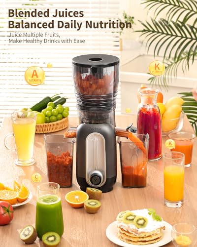 Cold Press Juicer, Slow Masticating Juicer with 5.8" Large Feed Chute, Whole Vegetable and Fruit, Juicer Machine Easy to Clean, 300W High Juice Yield, Dark Grey - Image 4