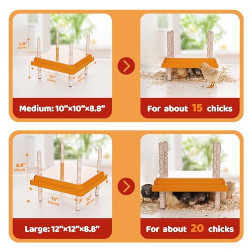 Brooder Heater for Chicks 10” x 10” for 15 Chicks Chicken Brooder Keep Chicks Warm and Cozy with Adjustable Height Brooder Plate - Easy to Clean Heat Plate for Chicks - Thumbnail 6
