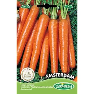Germisem EC9017 Amsterdam Wortel Zaden 6 g, Meerkleurig