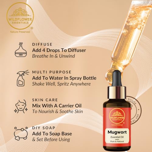 Image of Mugwort Essential Oil (Artemisia vulgaris) Pure | Non-Sticky | Lightweight | Steam Distilled | All Skin Type | Men & Women (10ml)