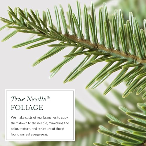 Image of Balsam Hill 7.5ft Pre-Lit Alpine Balsam Fir - Sparse Artificial Christmas Tree with 450 Clear LED Fairy Lights, Pre-Fluffed Memory Wire Branches & Easy Plug Technology for Grand Spaces