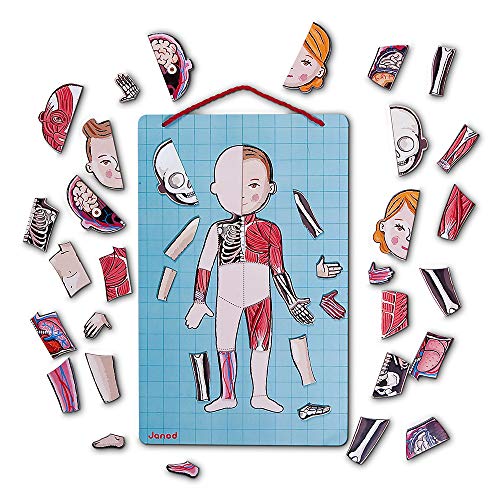 Janod Bodymagnet Educational Human Body Game - Anatomy, Organs, Skeleton, Muscles - 76 Magnetic Pieces - From 7 Years Old, 12 Languages, J05491 #TOP6