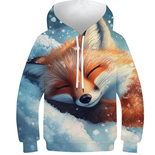 Sweat à capuche enfant 13-15 ans vêtement extérieur renard neige