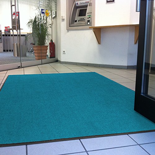 Floordirekt Schmutzfangmatte Monochrom | Fussmatte in 10 Größen & 8 Farben | Türmatte für innen & außen (60 x 180 cm, Türkis)