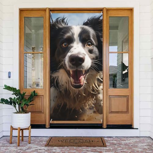 EFJhAJo[oi[ ՌhAEFCJ[e fR[V EBhEJ[e h[v qt {[_[R[ G߂̃|[`TC ʐ^̔wi Ǌ|oi[tbO 72.8 x 35.4C`