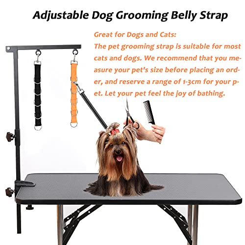 Asocea 2 Pack Dog Grooming Extension Strap,Adjustable Dog Grooming Table Leash With 5 D-Rings Pet Grooming Extender Loops For Small Medium Dogs Cats Washing Nail Clippers Hair Cutting -Black&Orange #TOP4