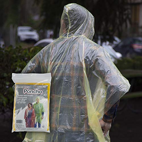 Lifeline AAA Premium Road Kit, 42 Piece Emergency Car Kit with Jumper Cables, Flashlight and First Aid Kit,4330AAA,Black