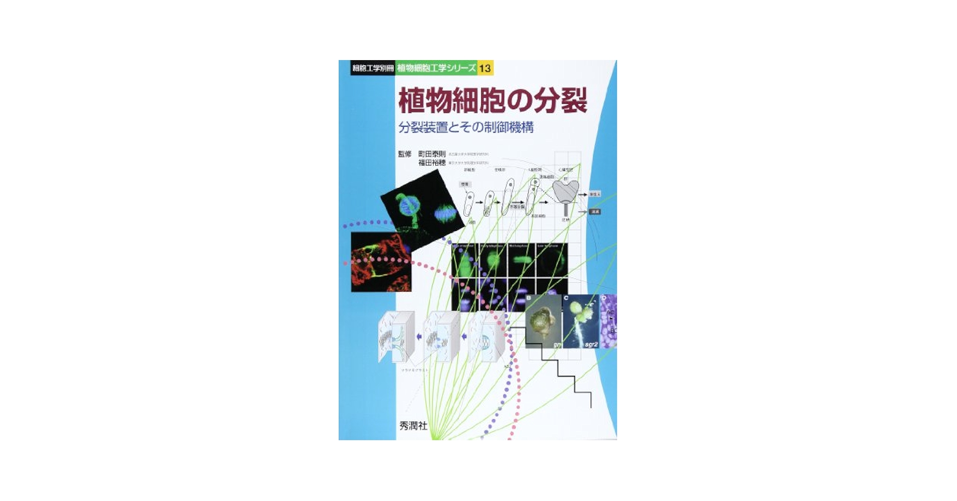 【中古】 植物細胞の分裂 分裂装置とその制御機構/学研メディカル秀潤社/町田泰則 中古】 植物細胞の分裂 分裂装置とその制御機構/学研メディカル