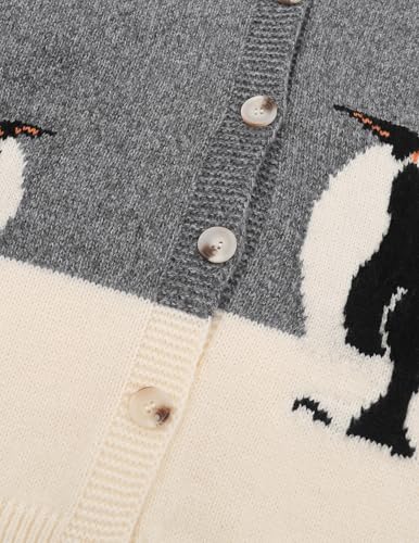Aelfric Eden Cardigan Sweater Open Front Knit Cardigans Penguin Graphic Color Blocking Sweaters Y2k 2025 Outfits3