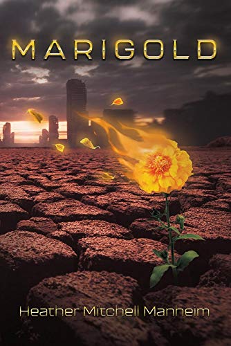 Marigold view 2