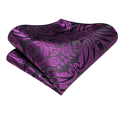 Image of Hi-Tie Grape Purple Paisley Neckties for Men Sets Floral Jacquard Tie and Pocket Square Lapel Pin Silver Tie Clip Cufflinks Set Wedding Business 6PCS