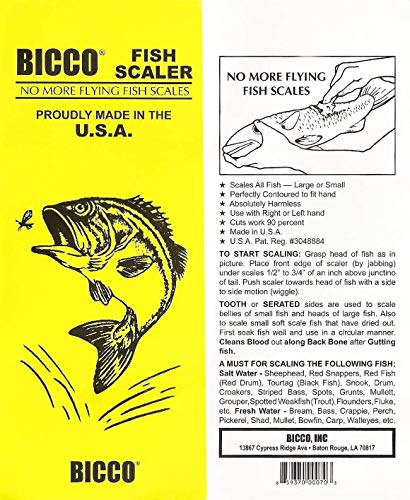 Bicco Plastic Fish Scaler (2-Pack) #TOP5