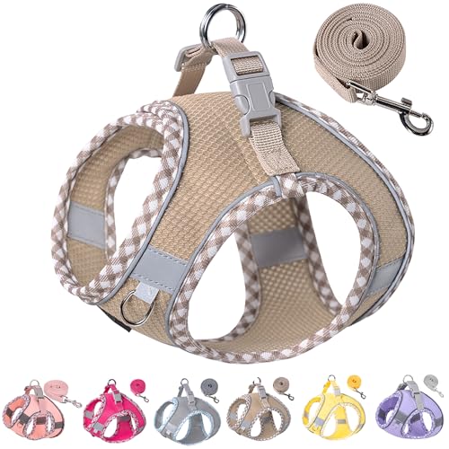 Petank Dog Harness and Leash Set