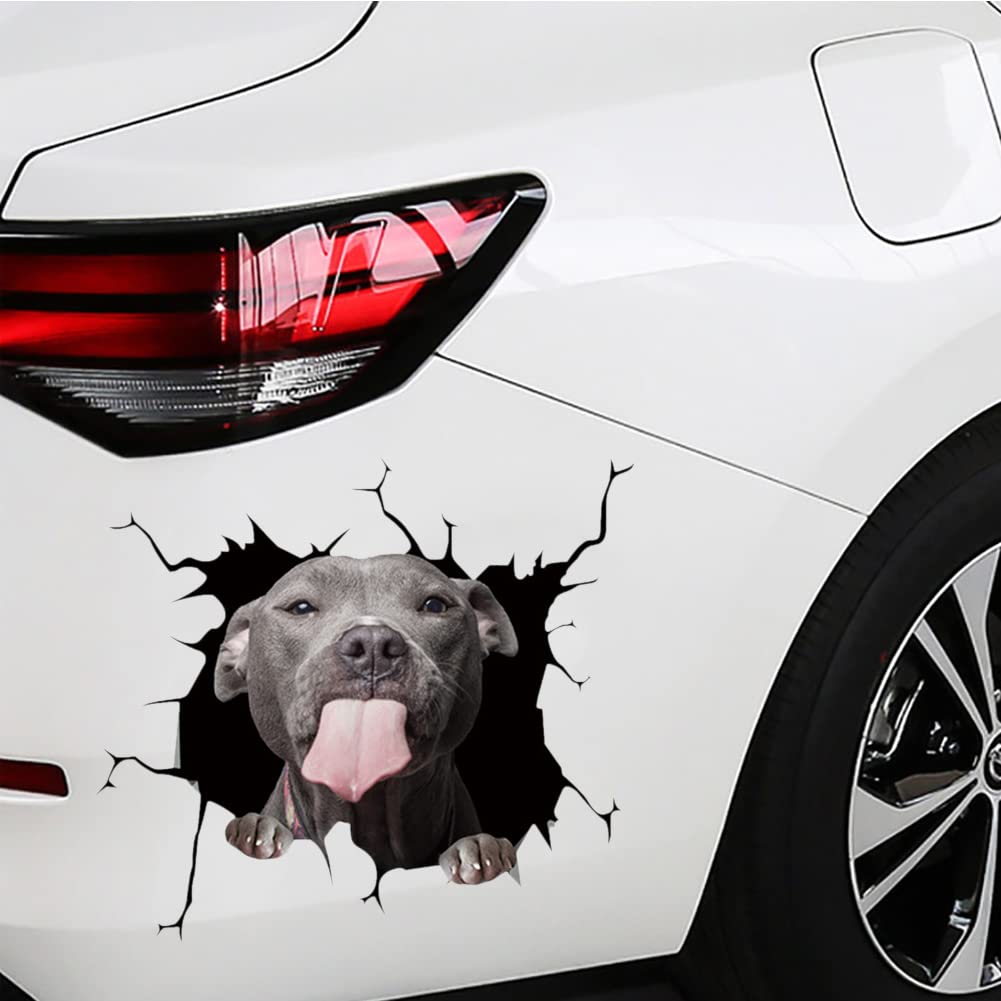 Autosticker Labrador retriever hond