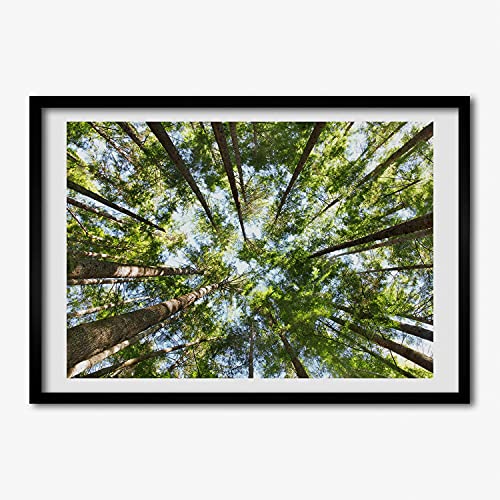 Cadre MDF photo affiche 70x50 cm Couronne D'arbres Tulup