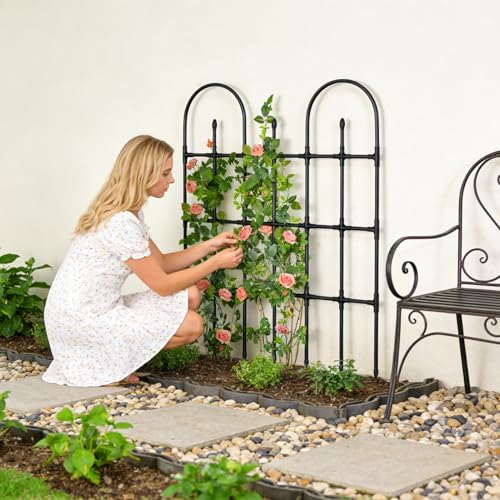 Treillis de jardin vertical en métal pour tomates et fleurs de balcon