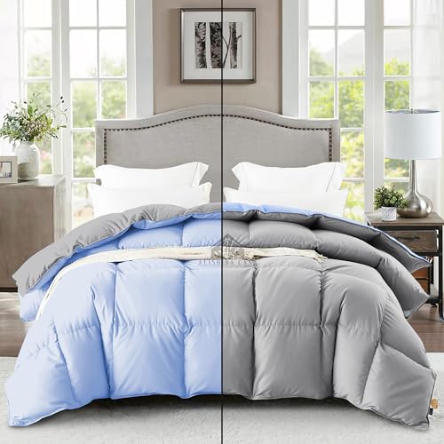Image of Reversible Heavy Winter Comforter King Size 90 inchX106 inch | 600 GSM Fill for Winter Comforter /Rajai /Duvet /Blanket Hotel Luxury Soft Fluffy King Size - Sky Blue /Silver Grey Color
