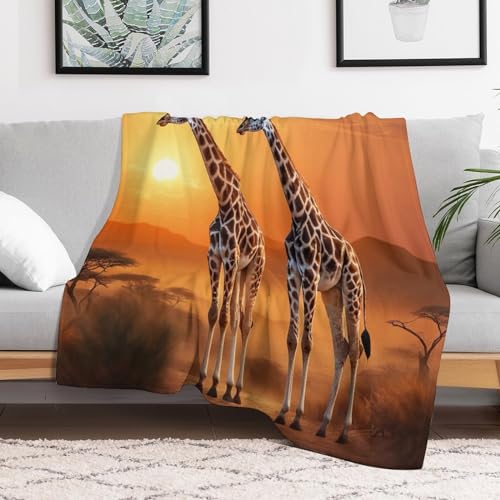 Couvertures en Girafe : Offrez un Cocon Douillet et Super Moelleux à Vos Proches