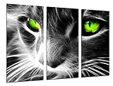 Tamaño total: 97 x 62 cm XXL Cuadro Fotográfico Gato Ojos de Colores, Animales Tamaño total: 97 x 62 cm XXL, Multicolor