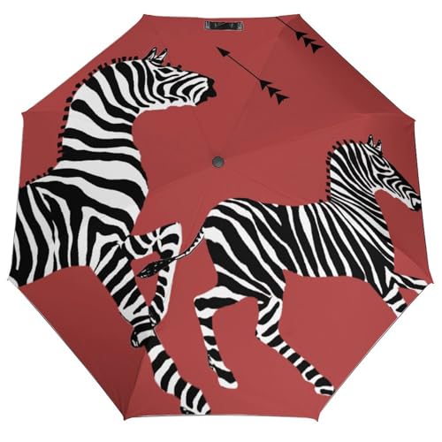 Parapluie pliable pour hommes femmes adolescents compact et facile à ranger