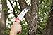 EZ Kut Kamikaze Saw Curved Blade with Scabbard - 19.3 Inch Heavy Duty Pruning - Carbon Hardened Steel Japanese Technology- Best Pruning Saw for Tree Trimming