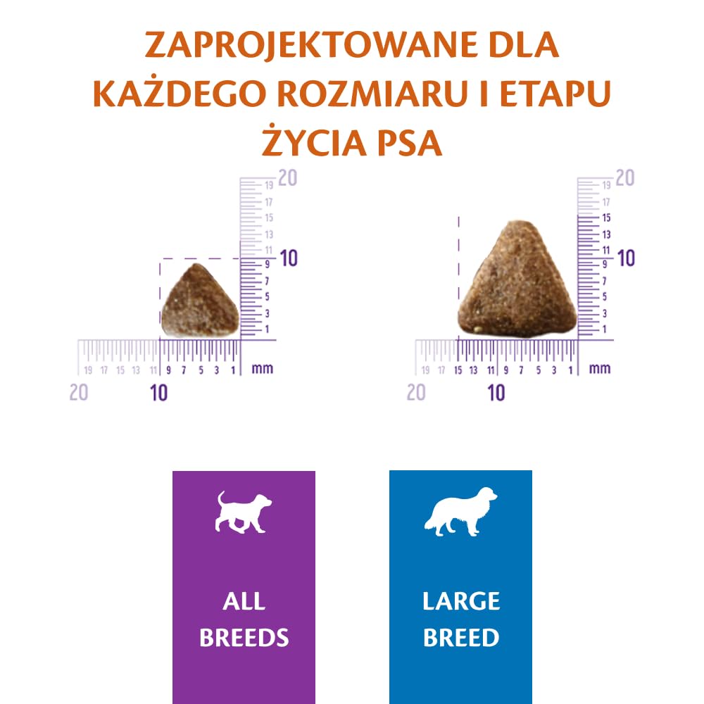 Wellness CORE Puppy 10 kg, Kurczak – Sucha Karma dla Szczeniąt Dużych Ras, Bezzbożowa, Naturalna, Hipoalergiczna, Bogata w Białko, o Wysokiej Zawartości Mięsa, Wspiera Rozwój Mózgu i Wzroku