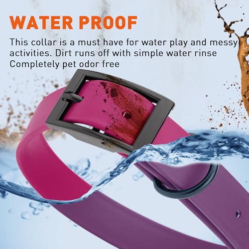 Image of Dogline Biothane Waterproof Dog Collar Strong Coated Nylon Webbing with Black Hardware Odor- Proof for Easy Care Easy to Clean High Performance Fits Small Medium or Large Dogs, Magenta Pink
