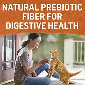 Purina Beyond Grain Free Wet Cat Food Pate Variety Pack Poultry 12ct VP - (2 Packs of 12) 3 oz. Cans Purina Beyond Grain Free Wet Cat Food Pate Variety Pack Poultry 12ct VP 2 Packs of 12 3 oz Cans