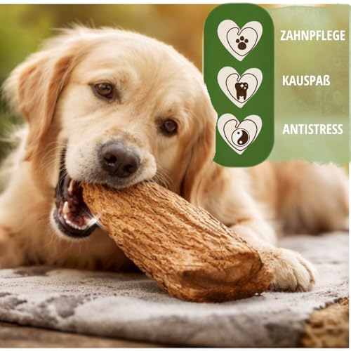 PetLove Kauwurzel für Hunde aus Baumheide • Natürliches Kauspielzeug hypoallergen • Kauknochen ohne Zusätze, ohne Kalorien, ohne Chemie • Größe: XS (50-124g) • Für Welpen