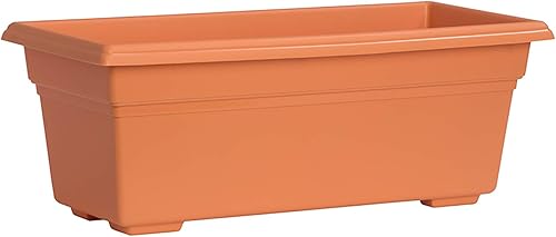 Novelty Maceta para patio