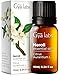 Produktbild Gya Labs Ätherisches Neroliöl für Diffusor  Natürlicher Duftstoff Neroliöl für die Haut, Aromatherapie, Seifen- und Kerzenherstellung  Frischer Blumenduft  100% natürlich (10 ml)