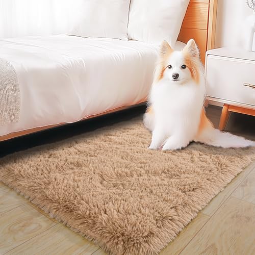 KING DARE 2x3 Area Rugs for Bedroom, Soft Small Throw Rug for Dorm, Soft Fluffy Shaggy Plush Fuzzy Shag Non-Slip Washable Carpet for Bedside Closet Girls Boys Room, Beige Rug
