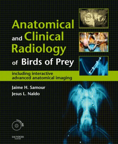 Buy Including Interactive Advanced Anatomical Imaging (Anatomical & Clinical Radiology of Birds of Prey: Including Interactive Advanced Anatomical Imaging) — BookShops.in