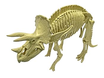 恐竜の頭部模型 恐竜の頭部 リアルフィギュアVol.1 （50個入り） | ガチャガチャ