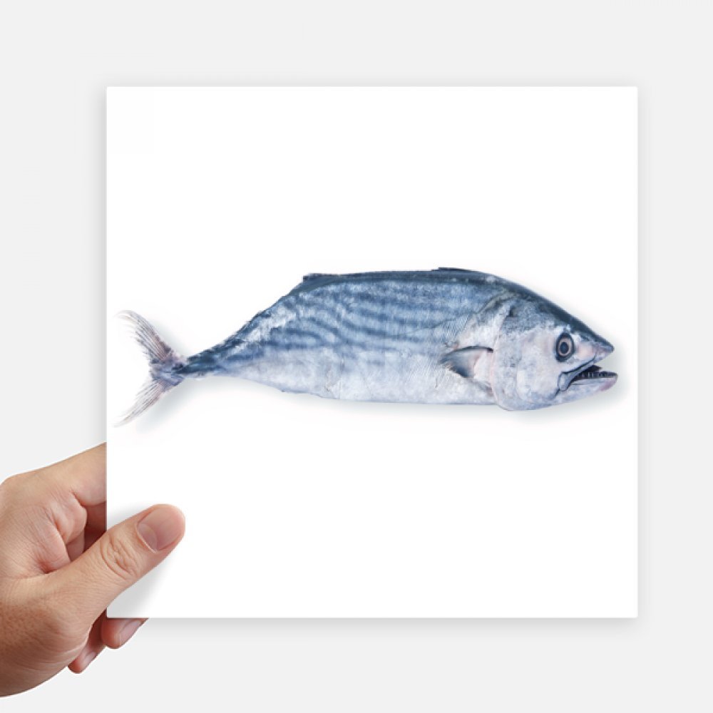 Autocollant poisson frais bleu pour couvrir les rayures de valise et personnaliser un PC