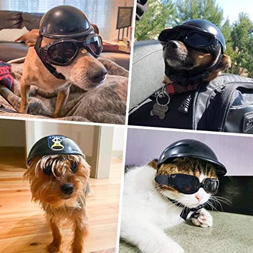 puppy motorcycle helmets