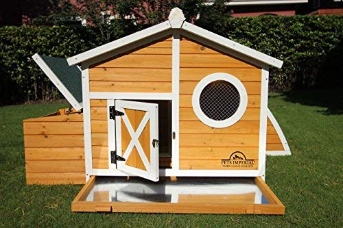 Pets Imperial® Grüner Ritz Hühnerstall mit integriertem Hühnerauslauf - Hühnerstall aus Holz - 165 cm (B) x 170 cm (T) x… – Bild 5