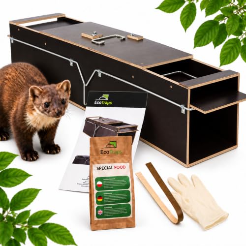 Piège à martres Piège Vivant - Piège à rats Réutilisable - Enveloppé avec une dalle de contreplaqué de bouleau Jardin-Piège à Animaux - Pièges à Martre Premium Recommandé par les Professionnels