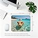 7AN.M Caribbean Swimming Pig with Seagull Gaming/Office Mouse Pad 9.5" x 7.9", Tropical Beach Pig Desk Mat for Summer Vacation Vibes
