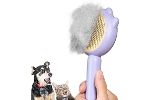 HICC GROOM Pet Grooming Brush For Cats And Dogs: The Secret To...