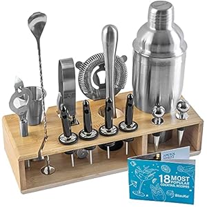 Cocktail Shaker Set Met Houder – 17-Delige Mixologie Barkeeper Kit, Bar Set – 750Ml Martini Shaker, Jigger, Zeef, Muddler, Menglepel, Tang – Roestvrijstalen Bar Accessoires Voor Het Mixen Van Drankjes