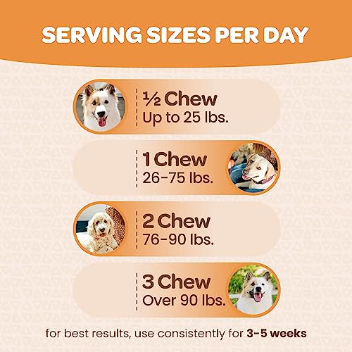 Healthy Dog Skin and Coat Supplement | Nourishing Omega 3 Fish Oil for Dogs Skin and Coat Plus Heart and Joint Support with EPA DHA & Vitamin E | Mange Allergy & Itchy Skin Relief for Dogs | 90 Chews Healthy Dog Skin and Coat Supplement | Nourishing Omega 3 Fish Oil for Dogs Skin and Coat Plus Heart and Joint Support with EPA DHA & Vitamin E | Mange Allergy & Itchy Skin Relief for Dogs | 90 Chews