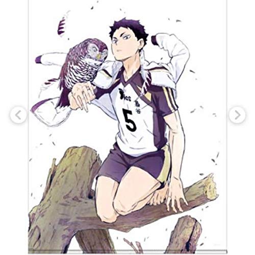 値下げハイキュー！！　赤葦京治　描き下ろしタペストリー　クッションカバー　タオル Amazon.co.jp: ハイキュー TO THE TOP 赤葦京治 タペストリー スポーツ