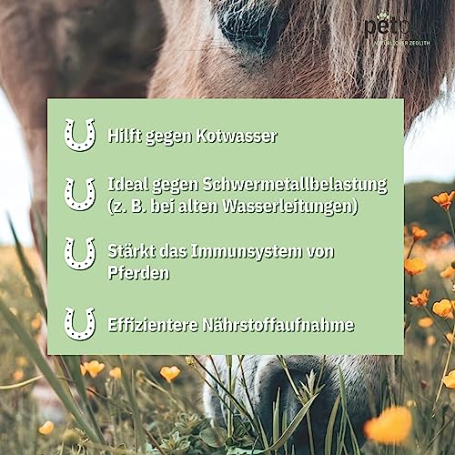 PetPlus® ZEOLITH Klinoptilolith Pulver Pferd 750g & 3kg, Premium Qualität, 100% natürlich, Keine Konservierungsstoffe, allergenfrei, Detox (3000g)